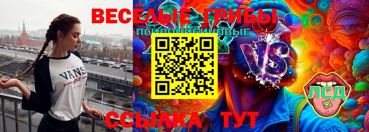 Псилоцибиновые грибы Psilocybine cubensis  Вход с VPN  Старый Оскол 