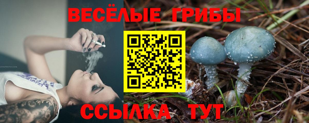 АМФ кристаллы  Канабис  Старый Оскол  Кокаин  ГАШИШ  Альфа ПВП СОЛЬ кристаллы  Меф МЯУ МЯУ  Экстази  Мефедрон   Вход с VPN 