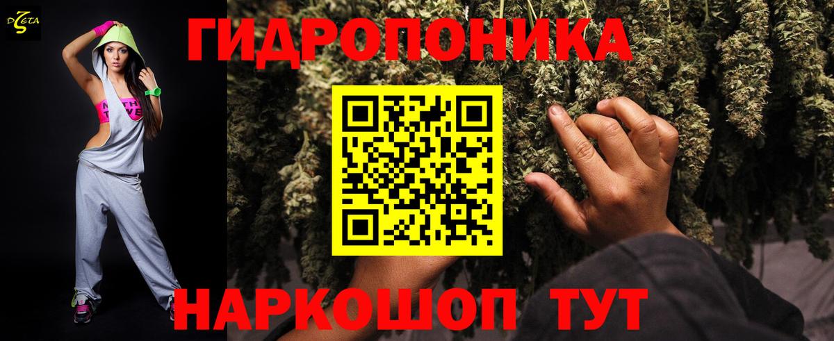 Шишки марихуана OG Kush  Марихуана план  Вход с VPN  Старый Оскол  МАРИХУАНА White Widow  Канабис AK-47 